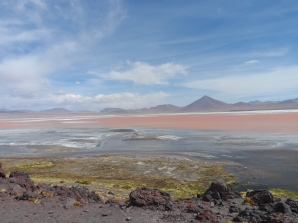 Laguna Colorada, Bolivia.